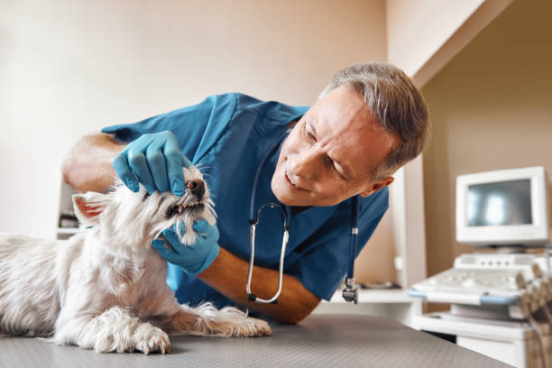 Best Same-Day Emergency Appointments in Rock Falls, IL