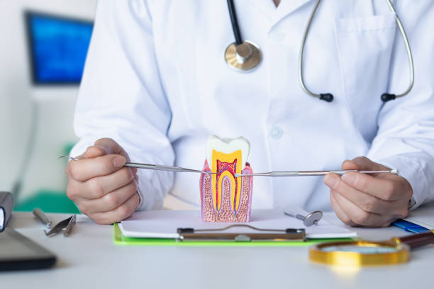 Best Broken or Cracked Tooth Emergency Dentist in Rock Falls, IL